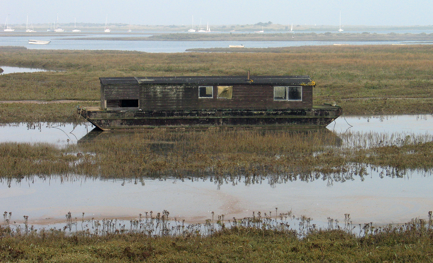 A weathered abandoned boat lying in vegetation on a coastal saltmarsh.
