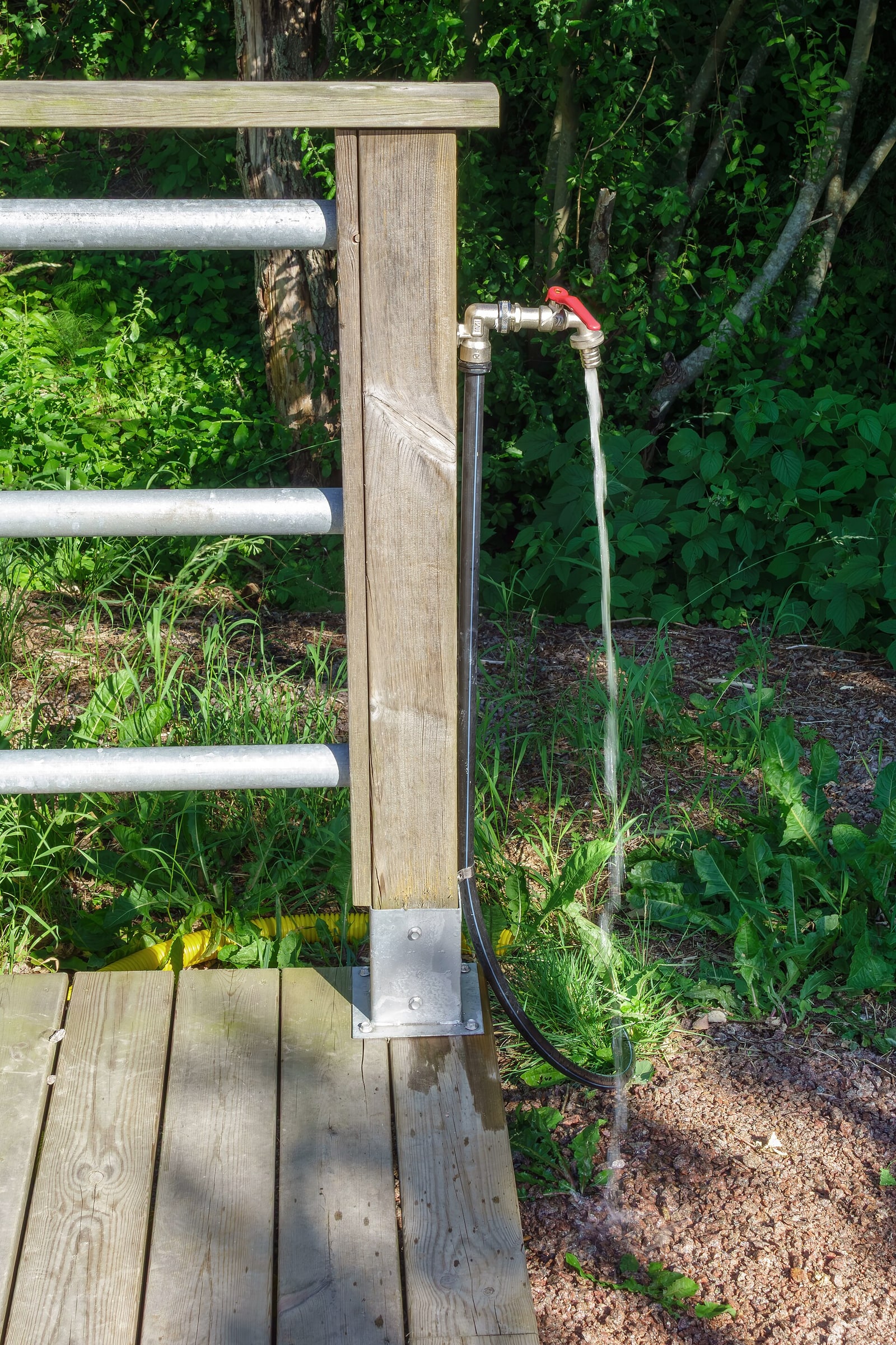 Water flowing from a red-handled outdoor tap beside green vegetation in Sweden.