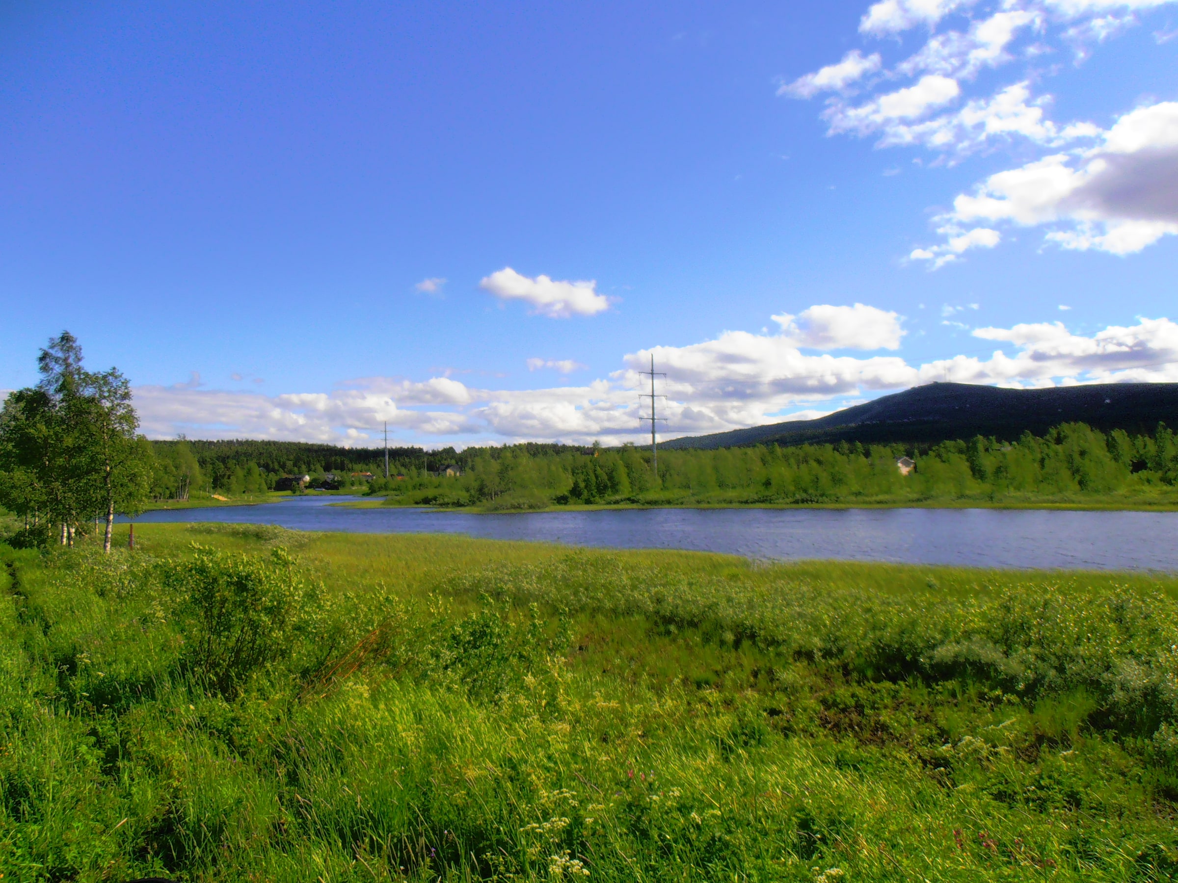 The Vassara river crosses green summer wetlands near Gällivare in a June 2016 file photograph.